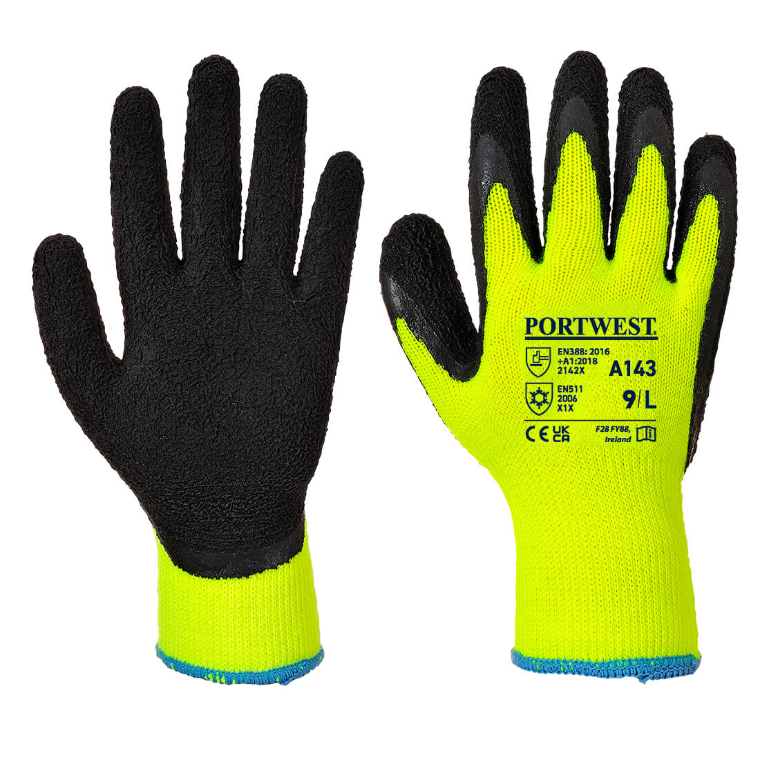 Cold 10 Latex Foam Glove - Y8RR